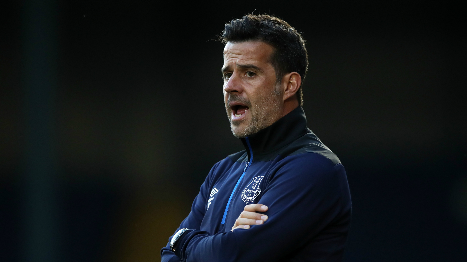 领域取得了 领域取得了